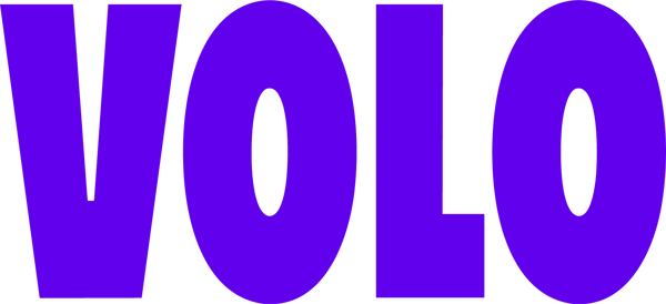 Volo - Primary Logo (Purple)