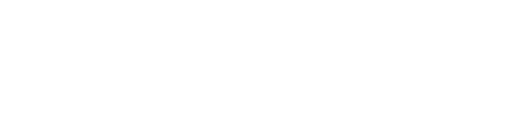 Volo logo in white